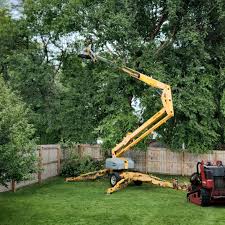 Best Hedge Trimming  in Calumet Park, IL